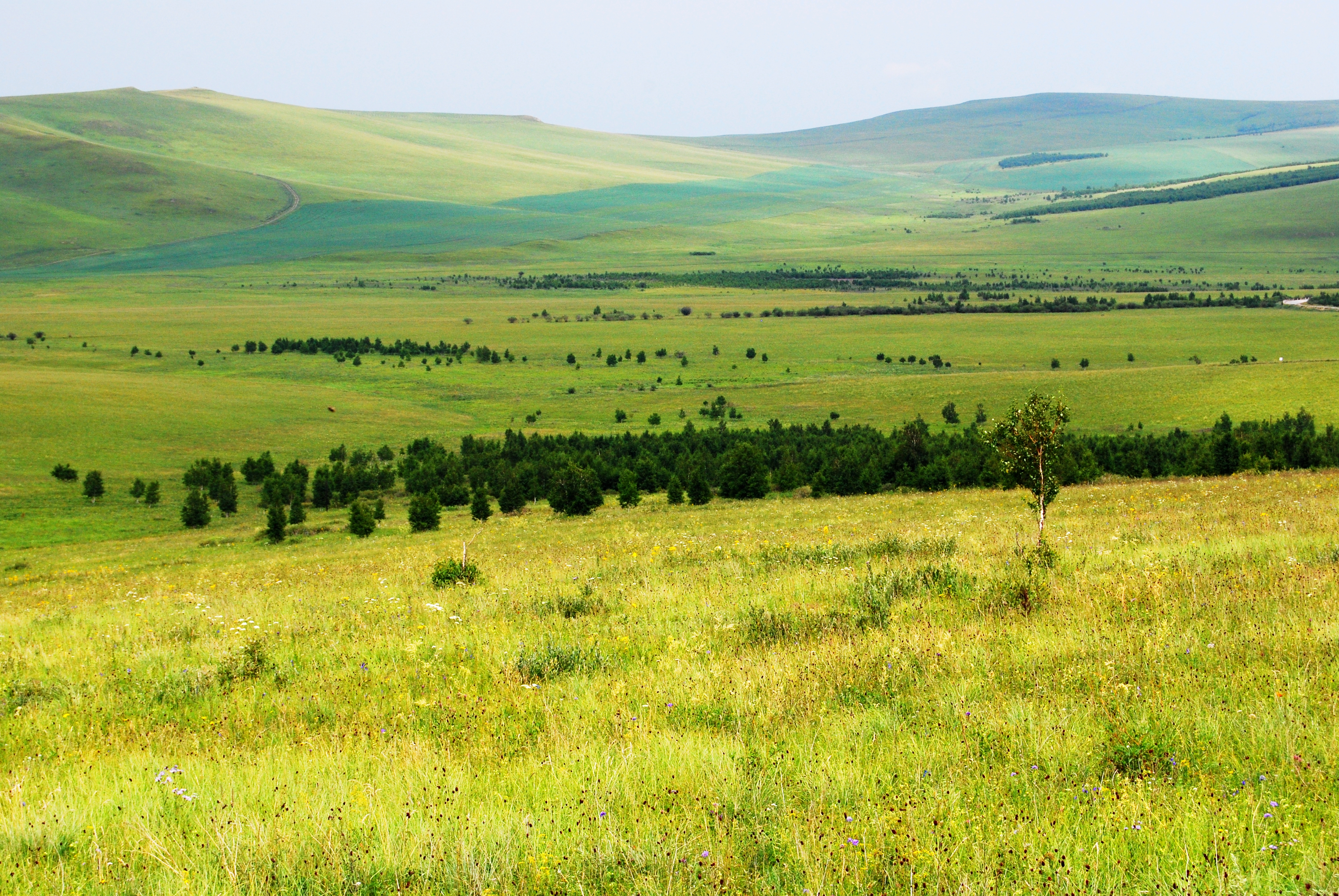 一辆车,从东乌旗沿中蒙边境公路到阿尔山,漫长边关寻迹历史遗存