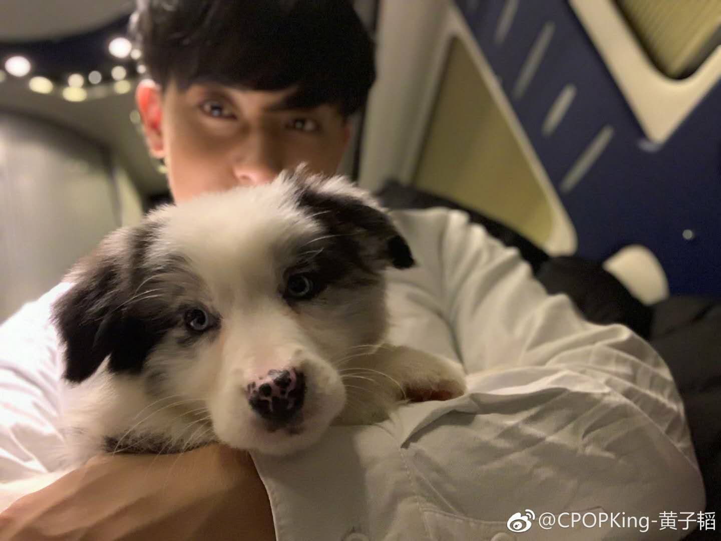 黄子韬被误伤的视频,黄子韬被狗狗咬