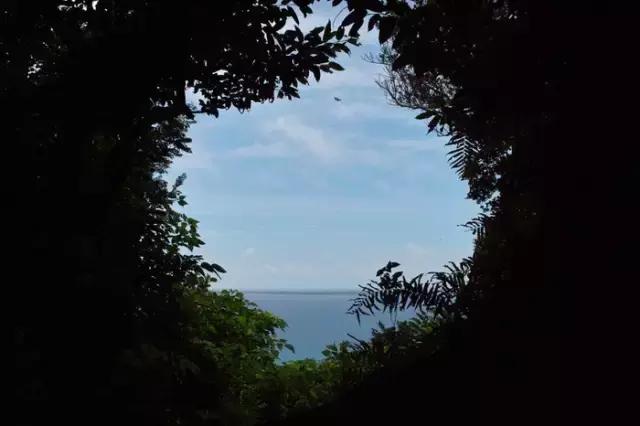 12月旅游日本冲绳最全攻略,春回大地旅游攻略