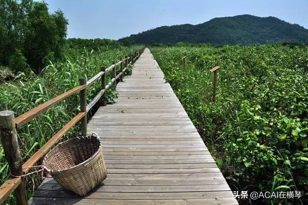 比渔女更能代表珠海的40个私密之地，看完立刻收藏