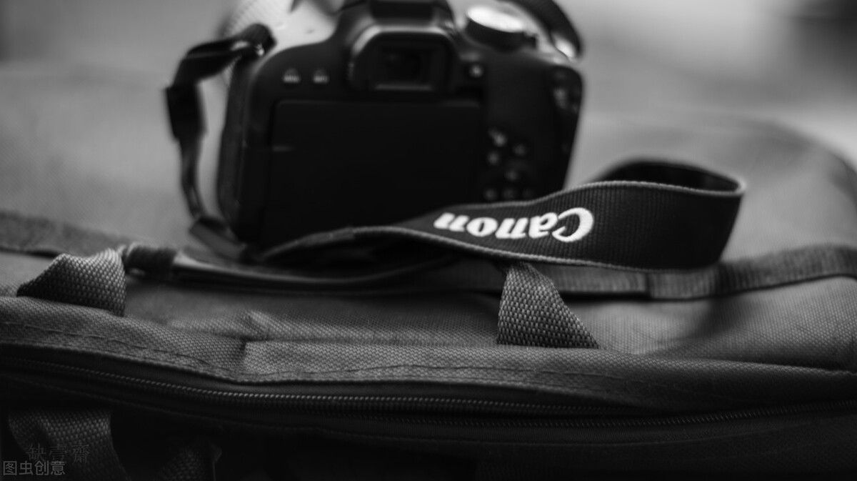 业余爱好者有没有必要买微单,为什么一定要买微单呢