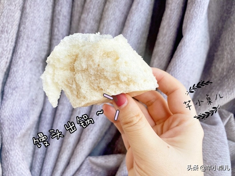 蒸箱烤箱选择攻略,烤箱蒸箱家庭用