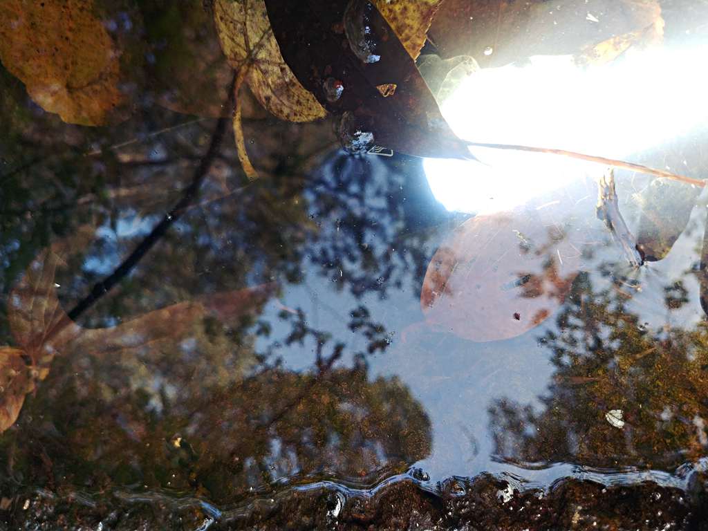 奈特科尔mh10s12s,奈特科尔mh12se和mh12s