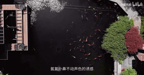 杭州红木家具别墅,杭州中式豪宅红木