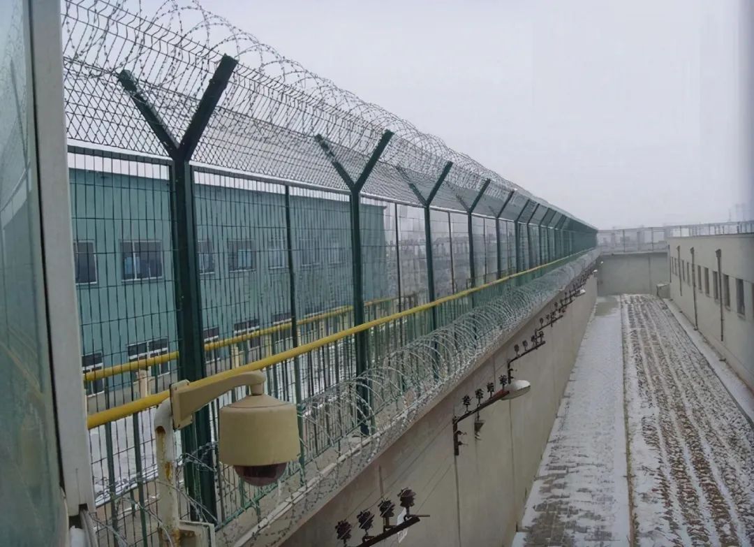 挖出两具女尸牵出连环杀人案,大案纪实麦田里的女尸