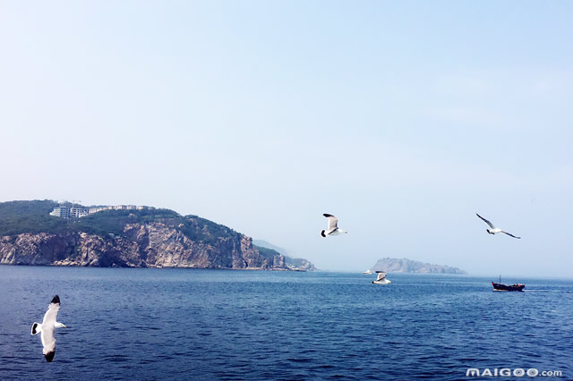 大连夏季海边露营地,大连市区适合露营的景点
