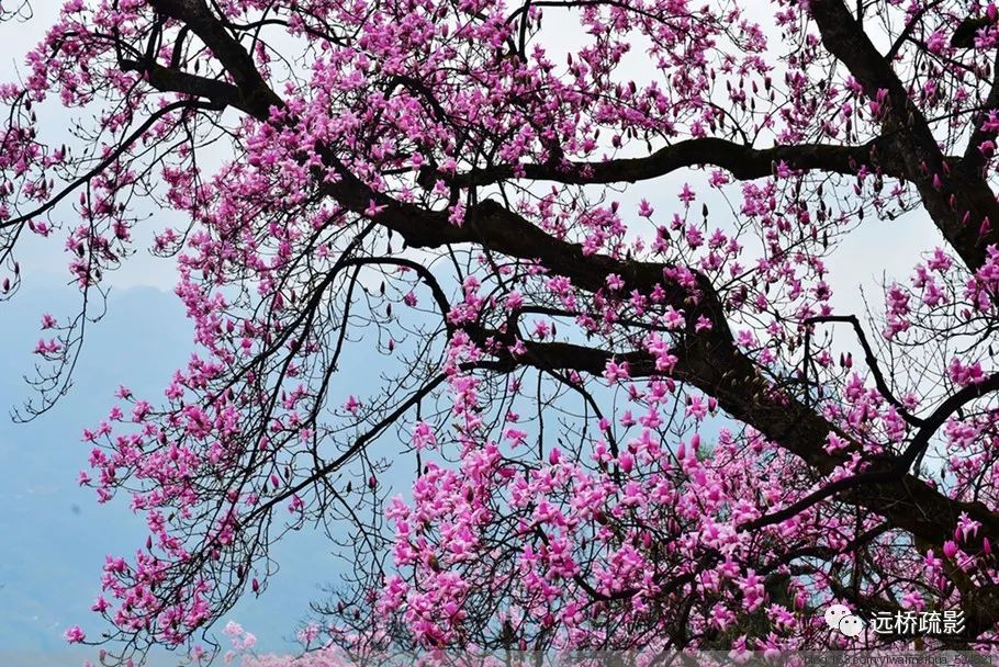 药王谷里觅旧迹（原图文）