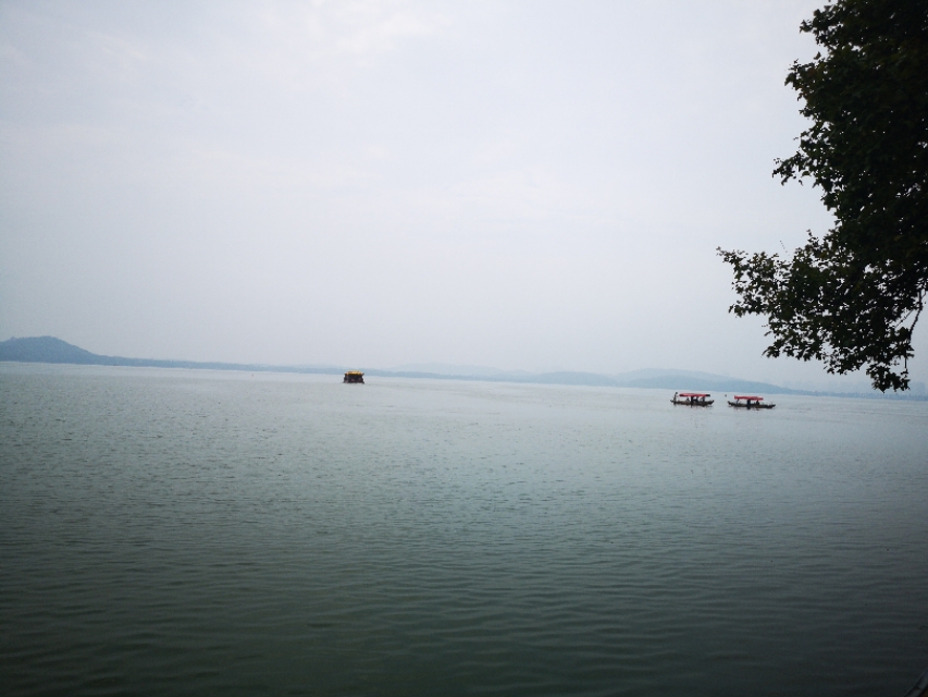 家里有个蛐蛐儿在叫好吗,家里有蛐蛐是有窝吗