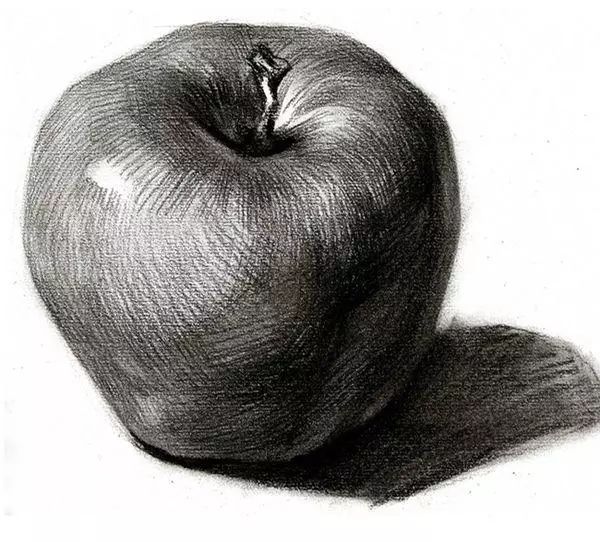 素描静物骷髅步骤,素描静物苹果步骤
