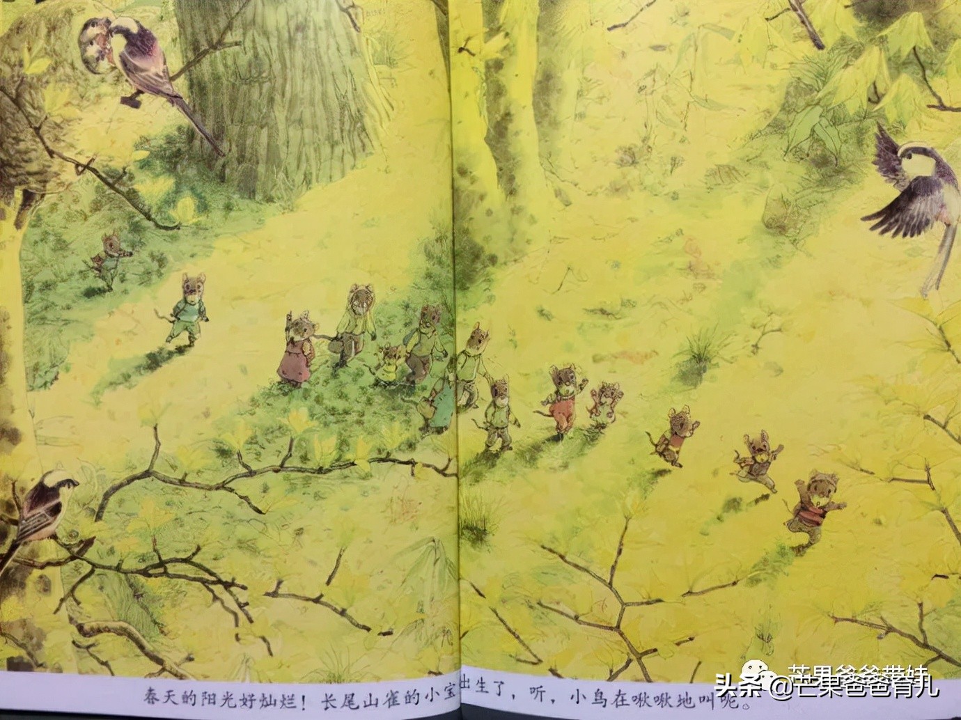 适合亲子读的绘本,100本最适合亲子阅读的绘本