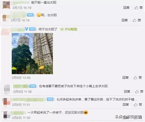 茶叶受潮怎么办7种方法来救你,茶叶受潮怎么办教你两招快速恢复