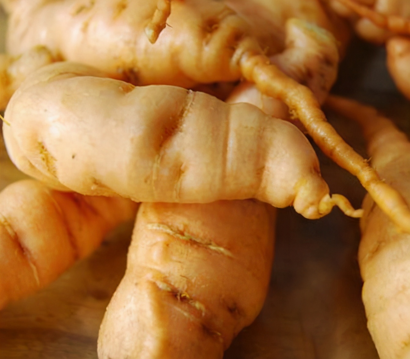 熟地黄的古今研究,珍稀中药熟地黄功效