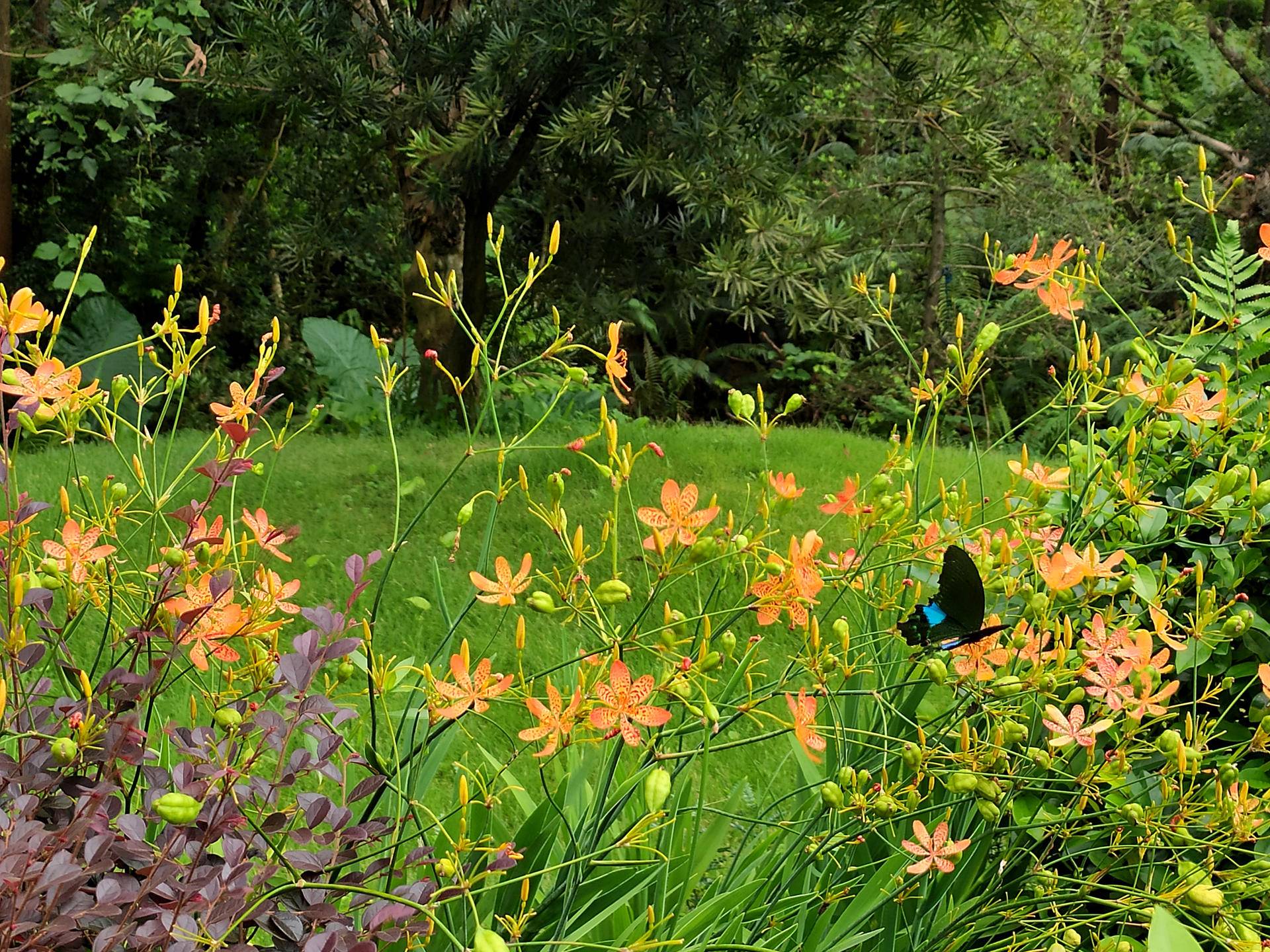 妹子评测小米,小米10s和小米cc9哪个拍照好
