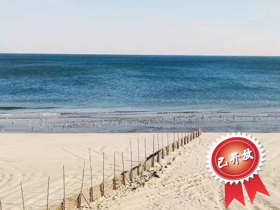 沙雕海洋乐园和渔岛哪个更值得去,沙雕海洋乐园视频