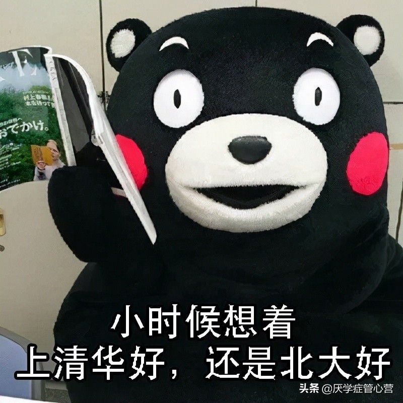 没休学但就是请假不去,学校建议休学是必须休学吗