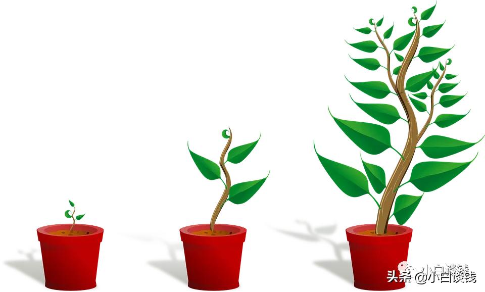 2008年-2019年,一个普通女人生命的1/5都发生了什么?