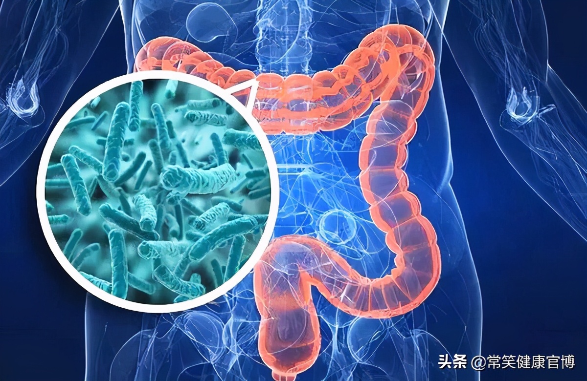 粪菌移植癌症,粑粑也能治病