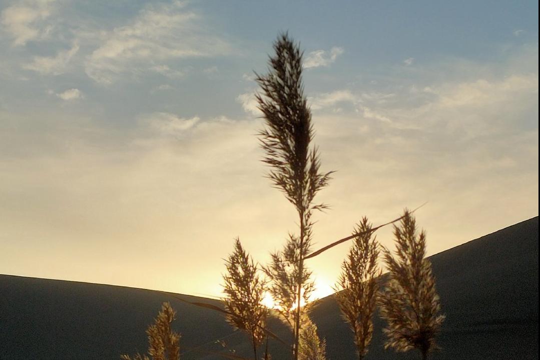 平凡的世界第二部心灵感悟 (再读平凡的世界苦难篇)