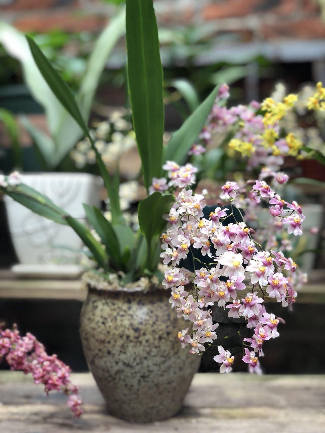 5种花香香水,哪种香水花最好最好闻