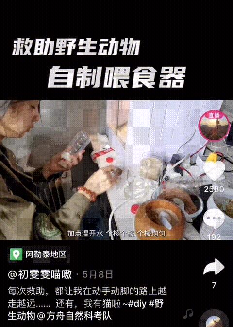 谁在保护金丝猴,谁在保护北极熊