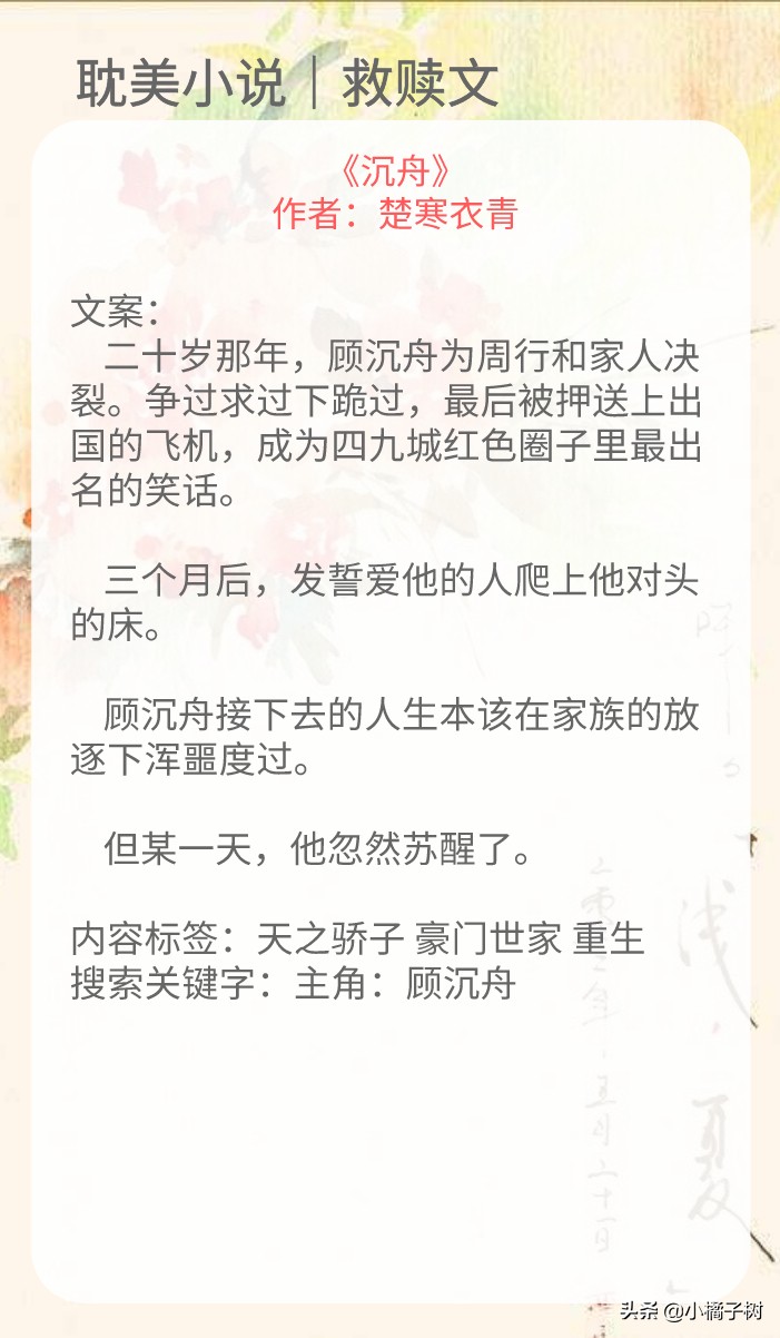 纯爱文推荐沉舟,文荒推荐言情救赎文