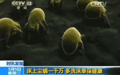 真正的蚕丝被100%桑蚕丝北极绒,推荐一款纯天然蚕丝被