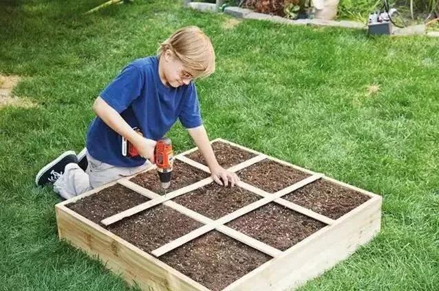 小型菜园怎么合理利用,1米菜园立体菜园