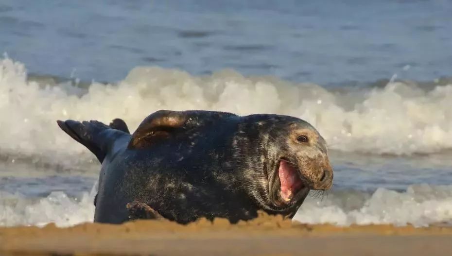 爆炸案宣判被告人被判,李某等23人涉黑一案