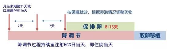 试管婴儿八大步骤,试管婴儿十个步骤