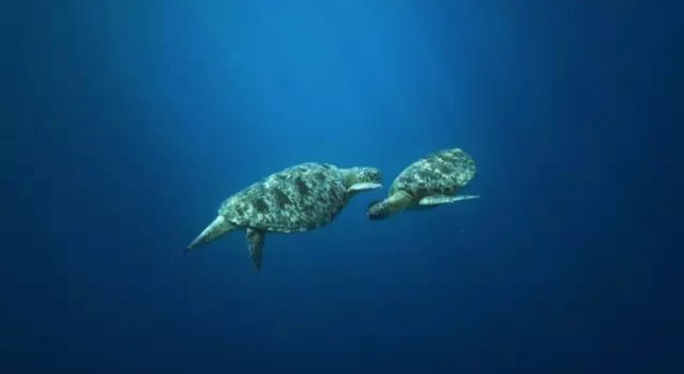 隐秘通关攻略,龙目岛攻略12天