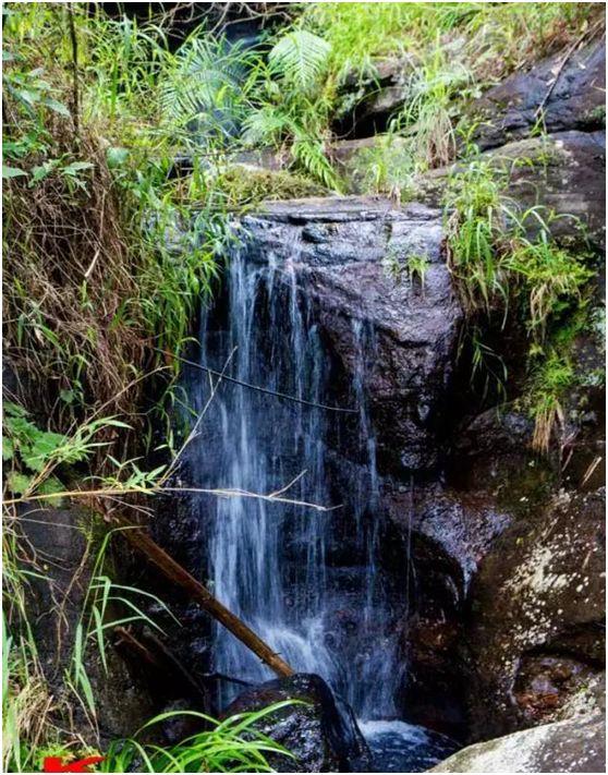 叮当猫还玩81式吗,叮当猫还玩率土之滨吗