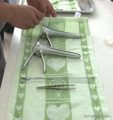 羊的人工授精技术规程,羊人工授精技术规程