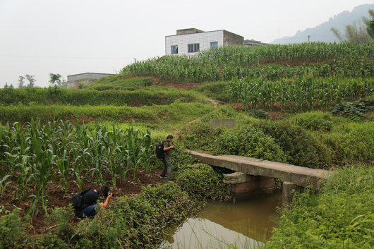 寻找。嘉明镇龙桥