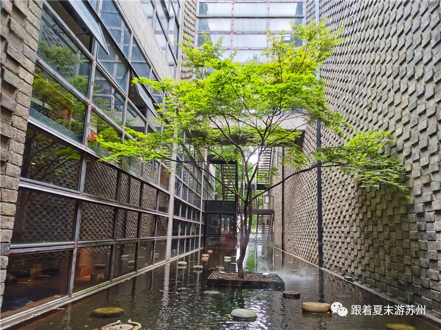 苏州本色美术馆预约,苏州本色美术馆近期展览