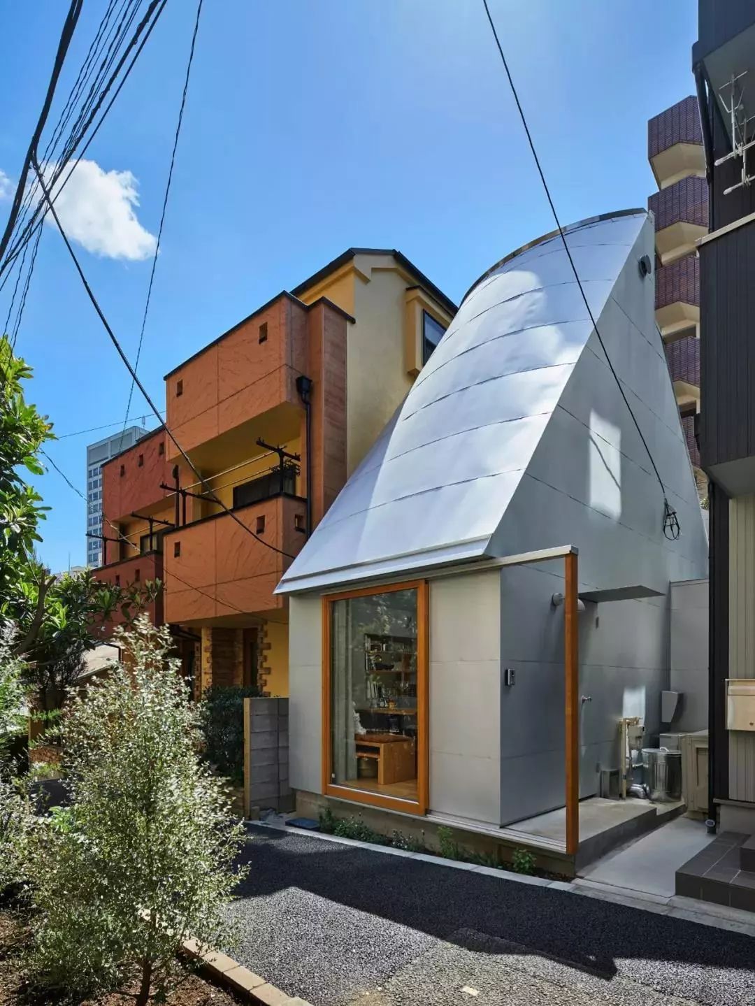 耗资80万建造豪宅出租给退休夫妇,她用14年建400平米花园