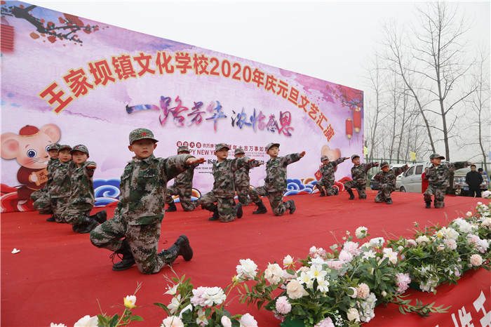 阜阳王家坝文艺汇演在哪里可以看,阜南王家坝公益演出