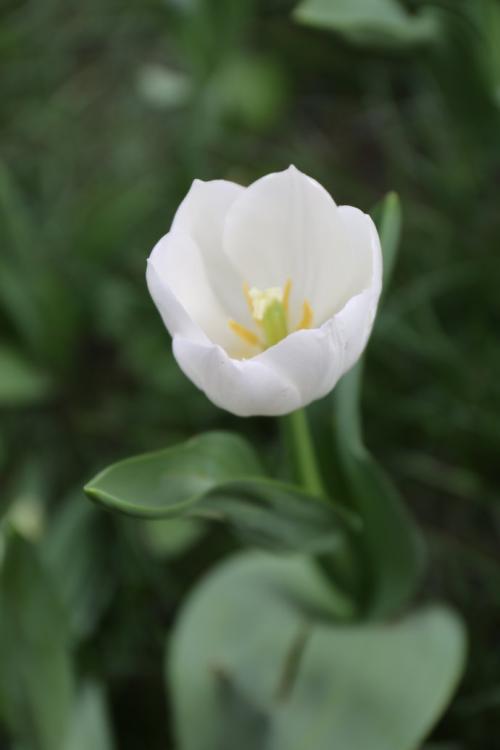 经典正能量语录精辟阳光的短句子,语录正能量阳光简短语句30条