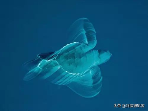 摄影用慢门打造静谧的黑白极简,极简主义慢门摄影