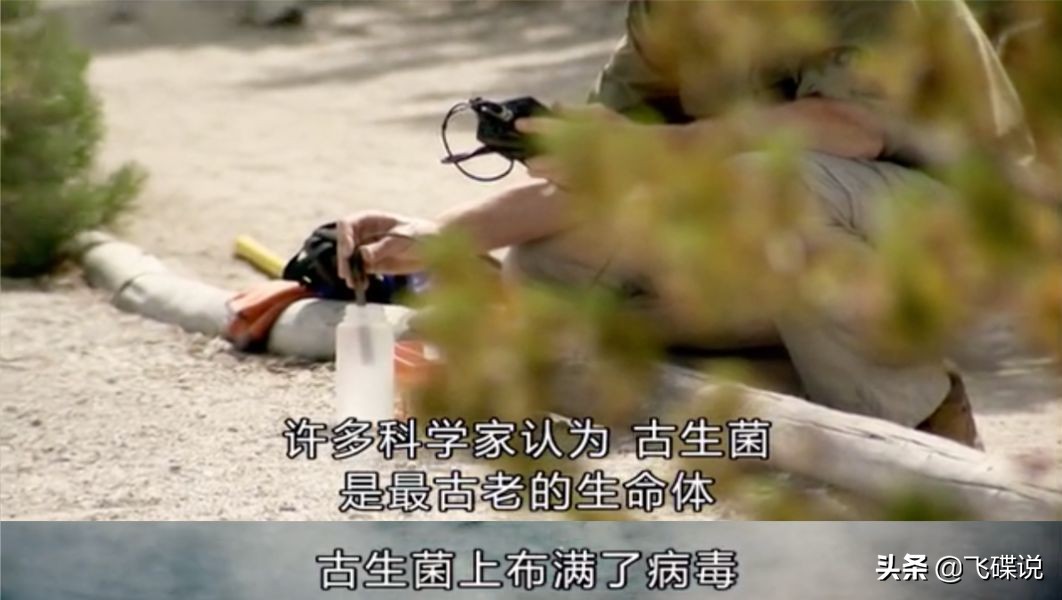 疫情下彻底看清了人性,疫情下摆正心态