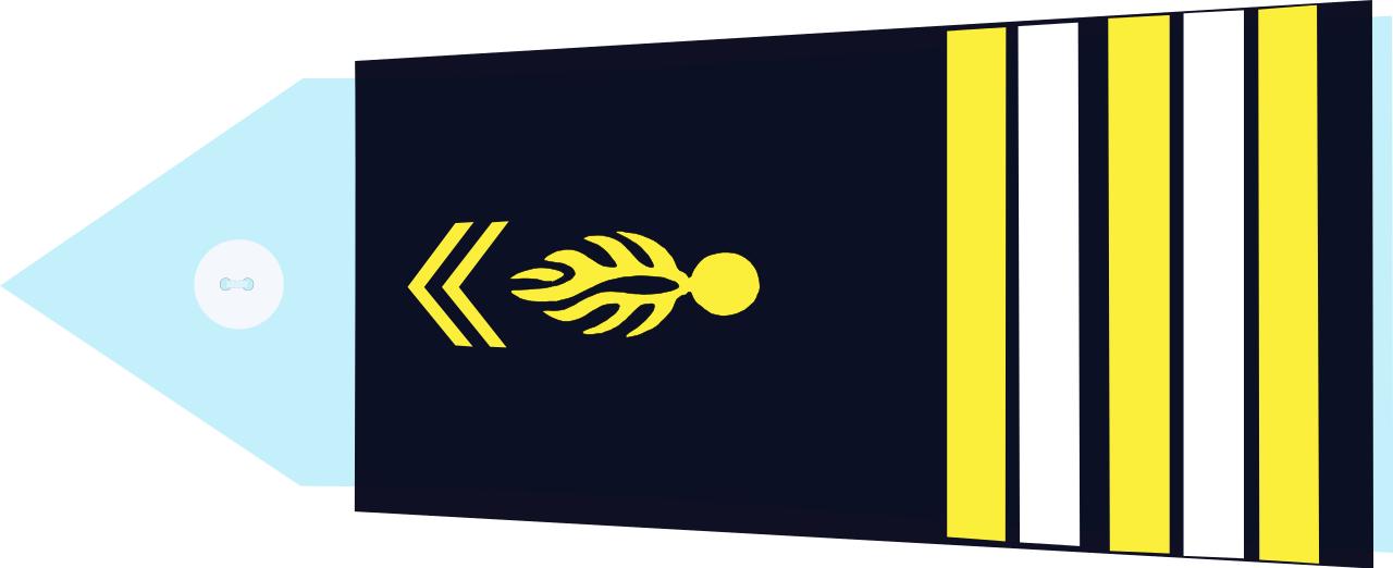 法国将军军衔等级,法国上校是什么军衔