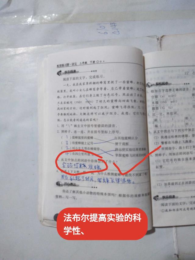 小学三年级法布尔课文,三年级法布尔的故事