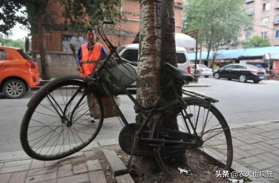 人怕伤心树怕剥皮的视频,人怕伤心树怕剥皮是出自哪里