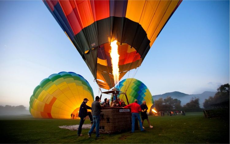 新春打卡重庆香水百合网红艺术节,坐小火车、玩玻璃滑道...