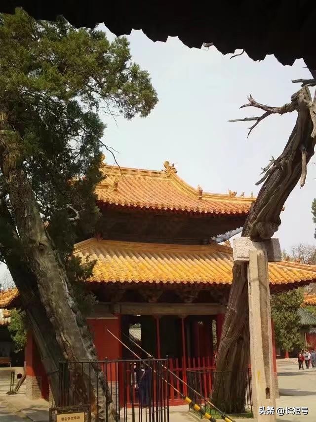 孔圣人的花园在哪里,孔圣人的家乡在哪里