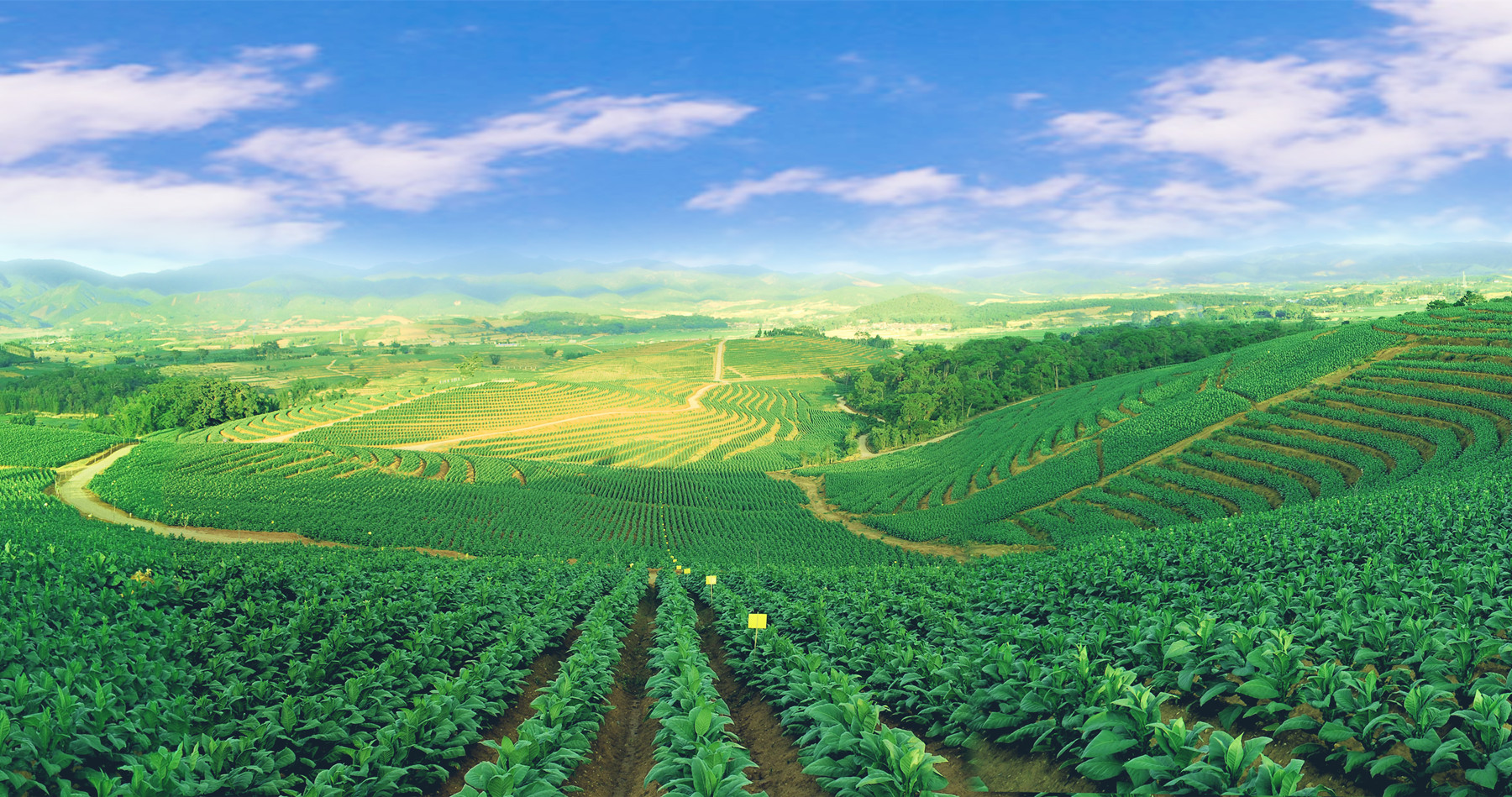 陈绪武,从纸媒到短视频,20年逐梦前行