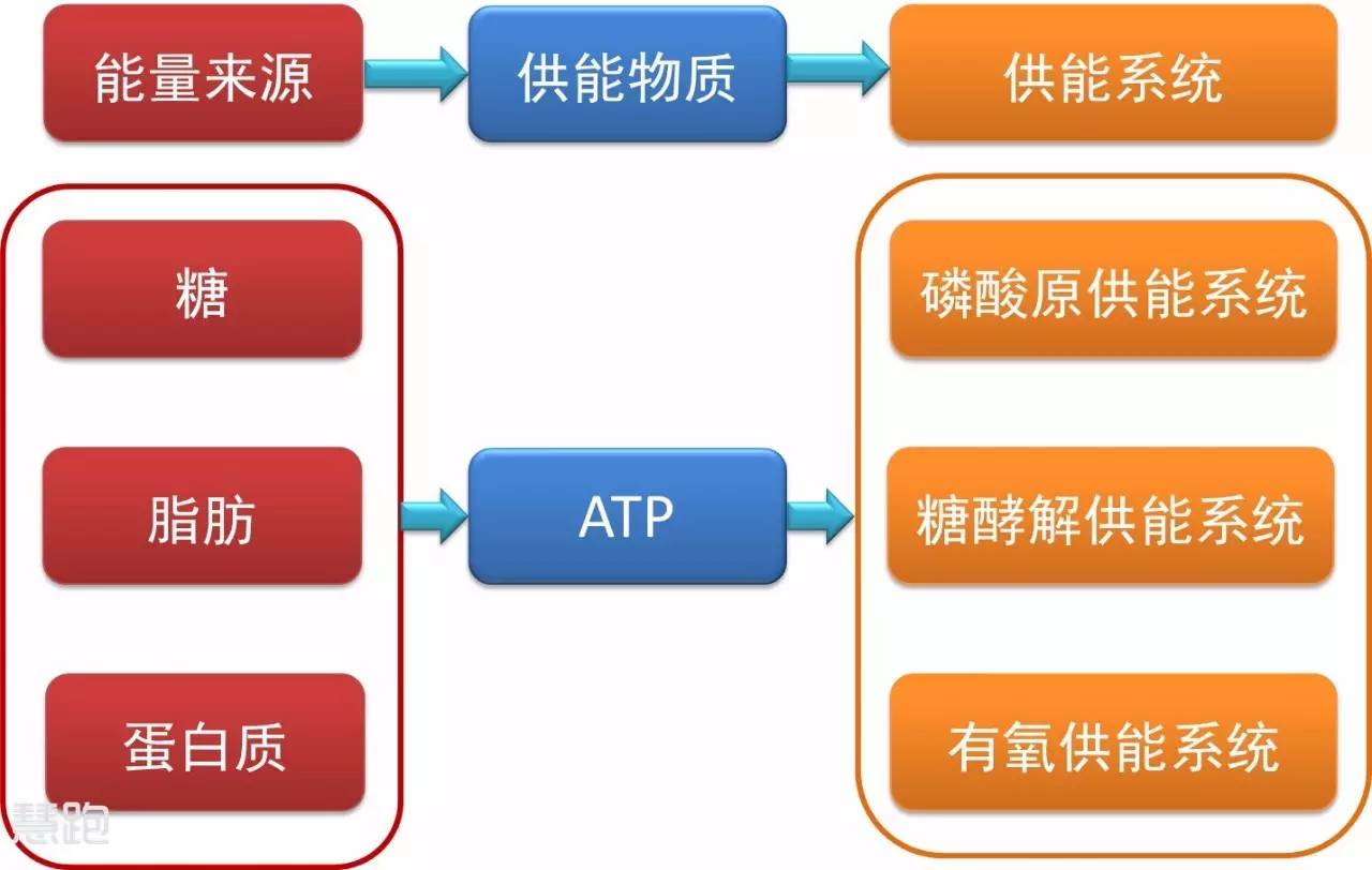 跑步是一种有氧还是一种无氧运动,跑步是最好的无成本的有氧运动