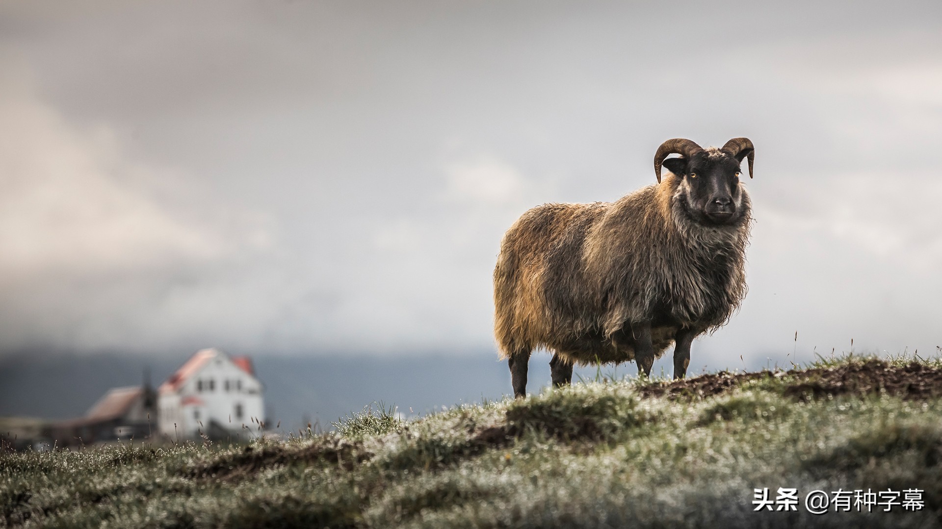 photoshopCC设计与应用案例教程,photoshopcc零基础入门教程