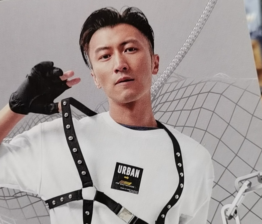 王菲和谢霆锋在一起几年,王菲和谢霆锋是哪年在一起