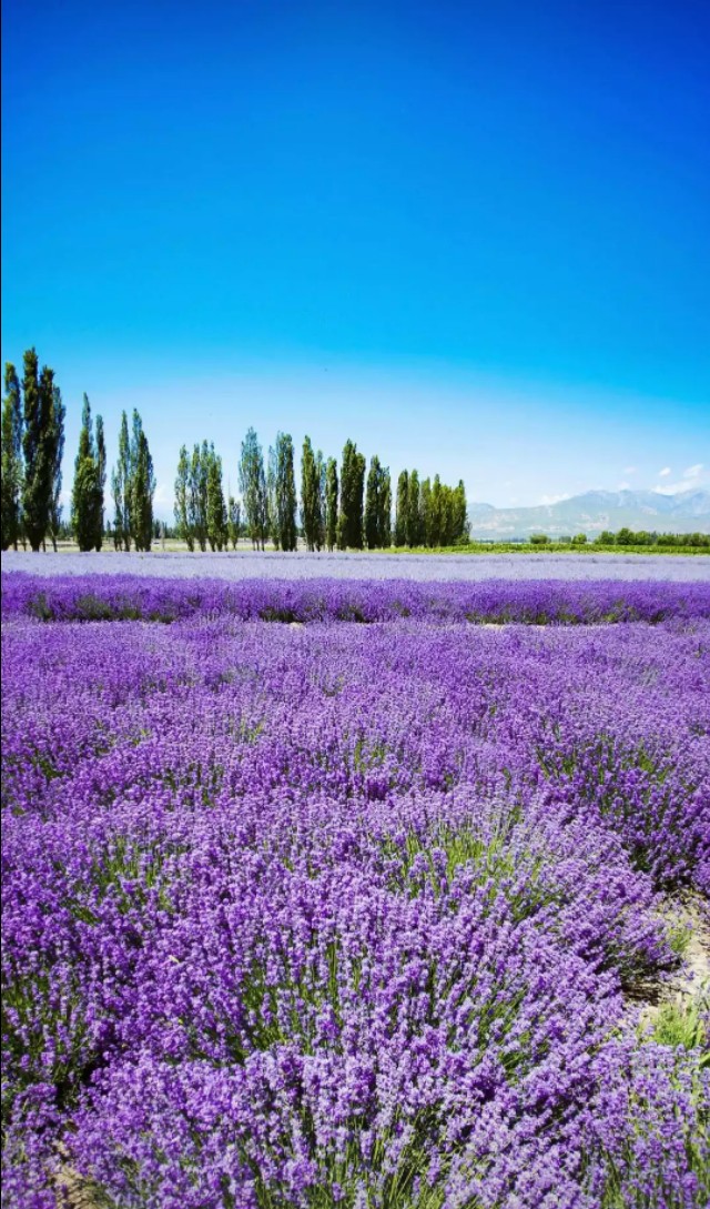 努力奋斗辛苦干活美文,2022努力奋斗的美文