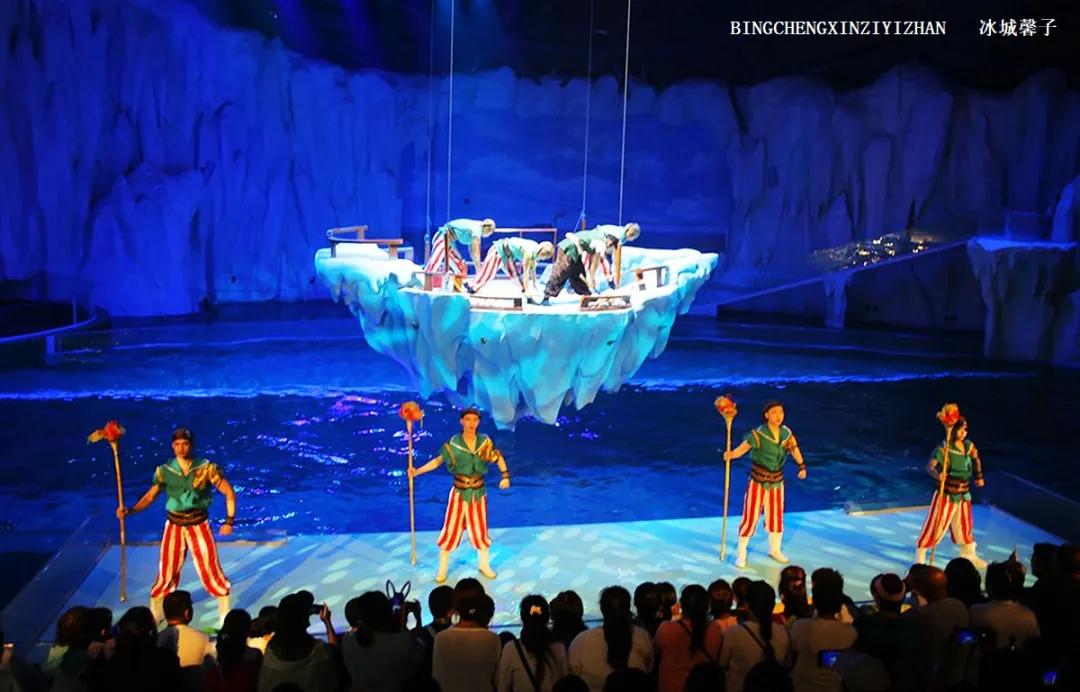 走进哈尔滨完整视频,走进哈尔滨海洋馆